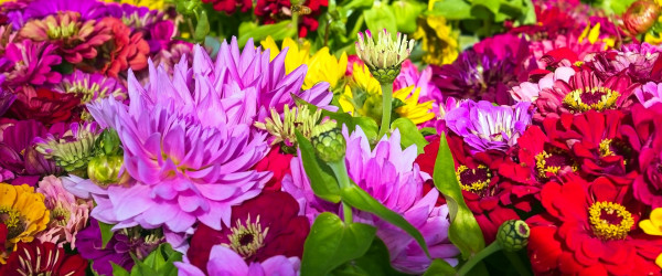 Blumen (Quelle: Pixabay)