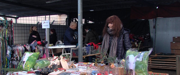 Weihnachtsmarkt im Reutlinger Tierheim (Quelle: RIK)