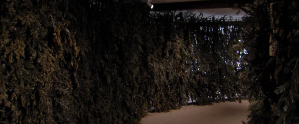 Green Fence (Quelle: RIK)